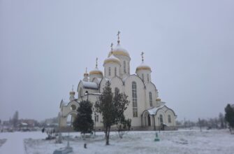 Владыка Николай возглавил чтение Царских часов Владыка Николай возглавил чтение Царских часов