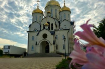 В день Семи отроков Эфесских епископ Николай возглавил Божественную литургию в Георгиевском соборе