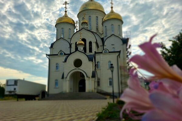 В день Семи отроков Эфесских епископ Николай возглавил Божественную литургию в Георгиевском соборе